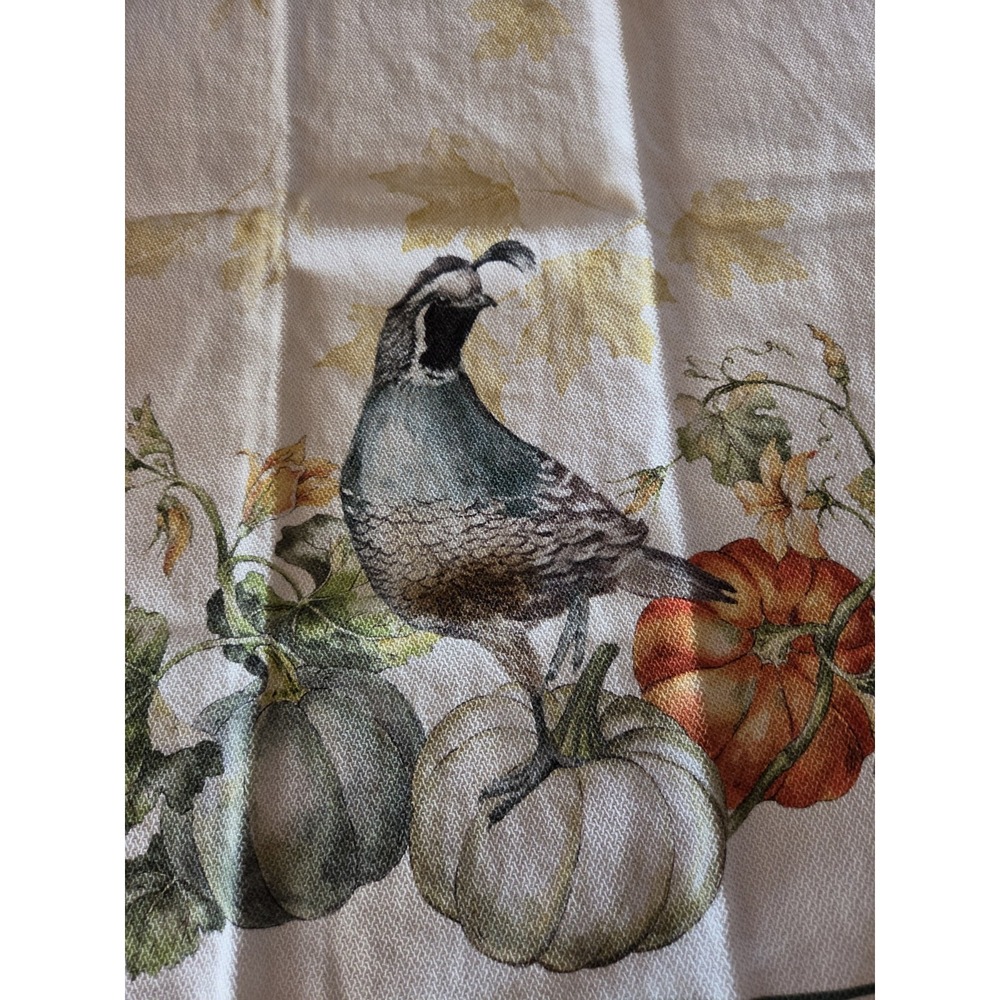 Southern Living Pheasant & Williams Sonoma Orange Waffle Tea Towels